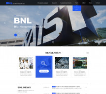 한국과학기술원 KAIST - 바이오나노 의약실험실 PC & MOBILE SET 홈페이지제작