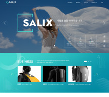주식회사 샐릭스(salix) PC & MOBILE SET 홈페이지제작