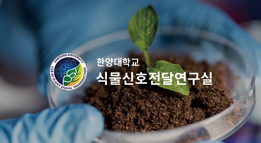 한양대학교 식물신호전달연구실 PC 단독형 홈페이지제작