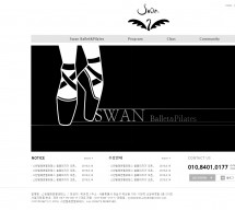 Swan Ballet & Pilates 썸네일