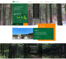 대관령숲안내센터 PC & MOBILE SET 홈페이지제작